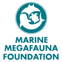 mmf with legend diving lembongan