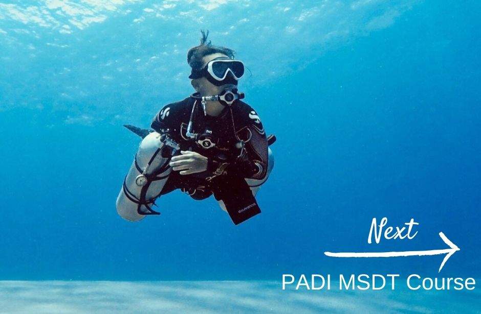 PADI IDC Indonesia MSDT